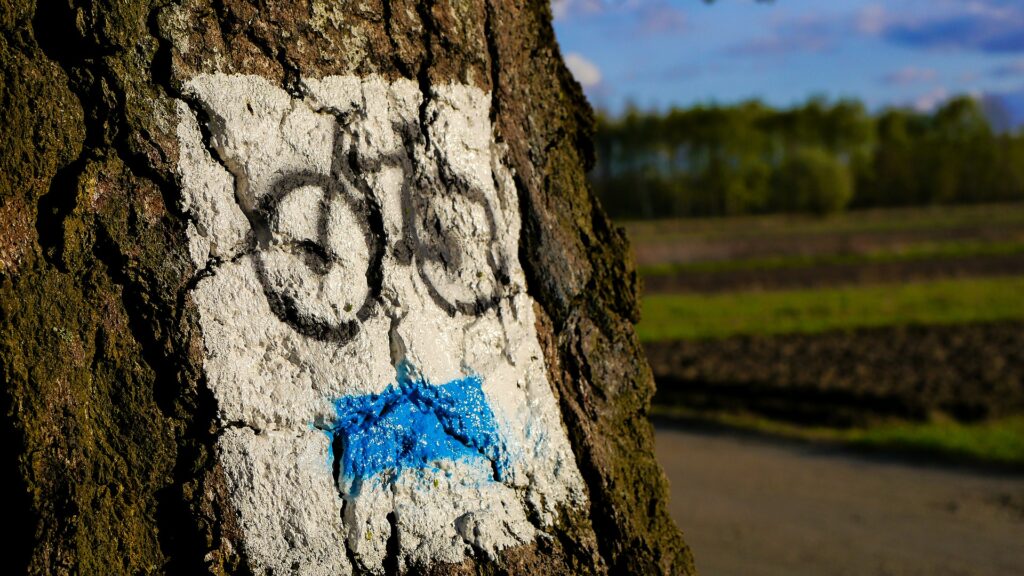 Třeboňsko, cyklistický ráj